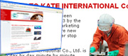 Kate International, Chemical Factory website Web design